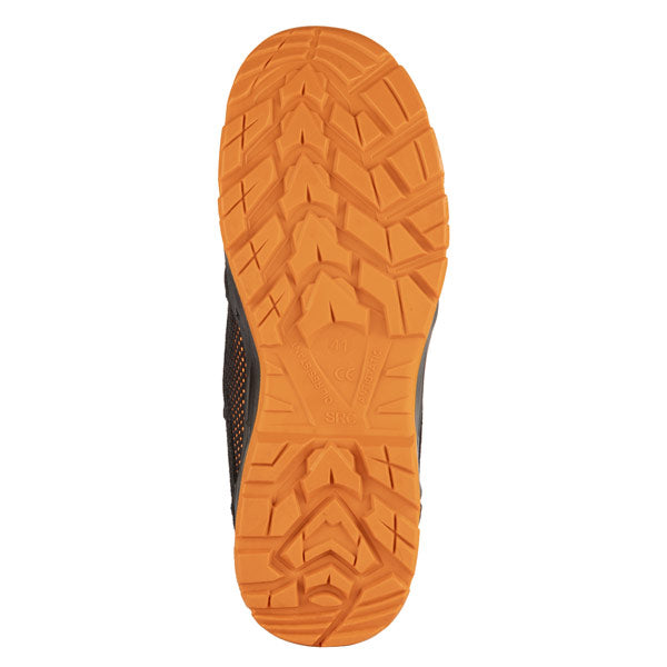 STOUT ED 07 PLÜTON S1