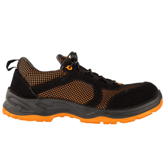 STOUT ED 07 PLÜTON S1